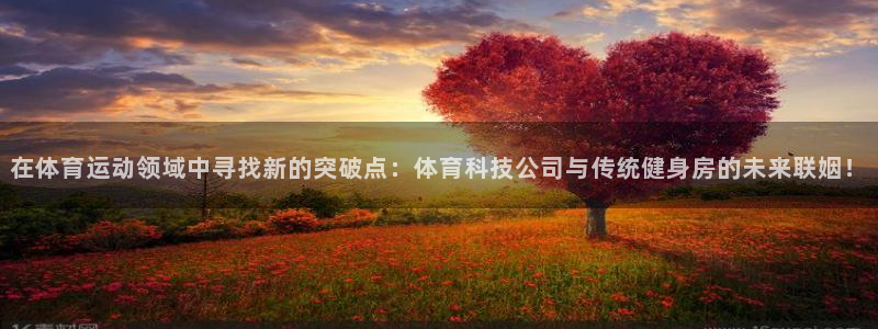 球速体育QsTY官方正版app新能源：在体育运动领域