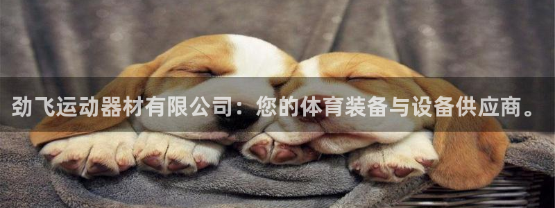 球速体育QsTY官方正版app娱乐平台：劲飞运动器材有限公司