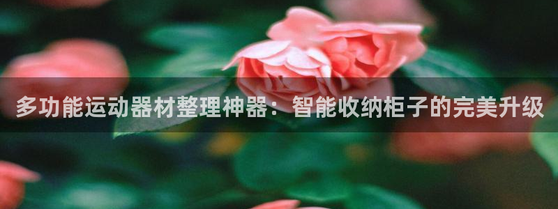 球速体育QsTY官方正版app娱乐是那个系列的台子：多功能运