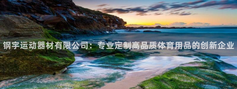 球速体育QsTY官网下载招商电话：钢宇运动器材有限公