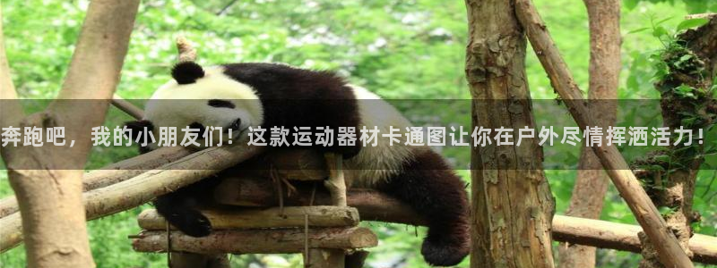 球速体育QsTY官网下载招商电话号码是多少号：奔跑吧