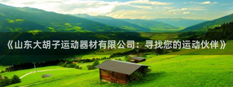 球速体育QsTY官方正版app代理：《山东大胡子运动