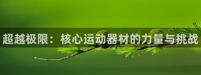 球速体育QsTY官方正版app娱乐是那个系列的台子：超越极限