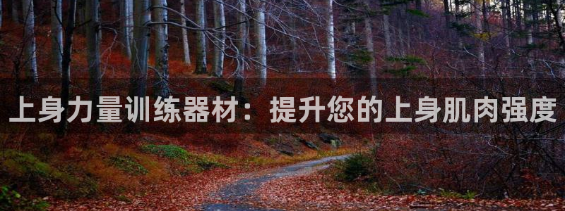 ,球速官方集团官网