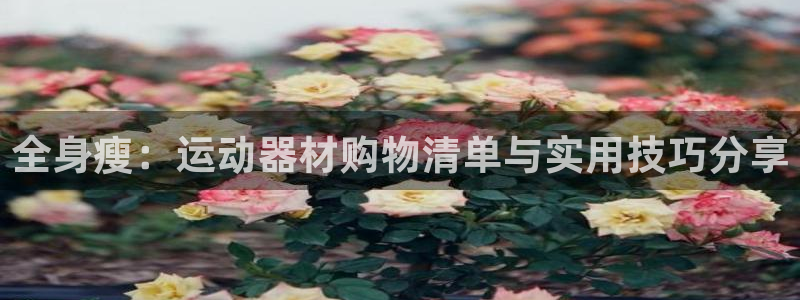 球速体育QsTY官网下载招商电话地址是多少：全身瘦：运动器材